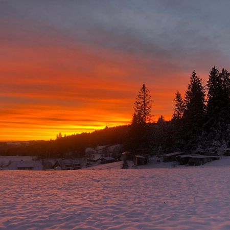 Apartamento Bergwaldhof Schonach Schonach im Schwarzwald Exterior foto