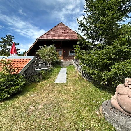 Apartamento Bergwaldhof Schonach Schonach im Schwarzwald Exterior foto
