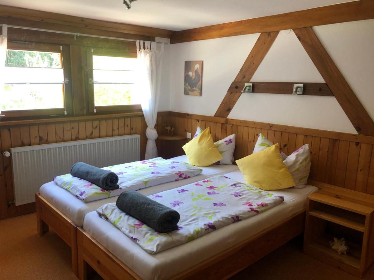 Apartamento Bergwaldhof Schonach Schonach im Schwarzwald Exterior foto