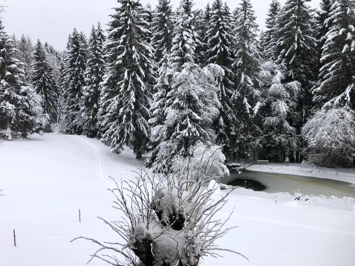 Apartamento Bergwaldhof Schonach Schonach im Schwarzwald Exterior foto