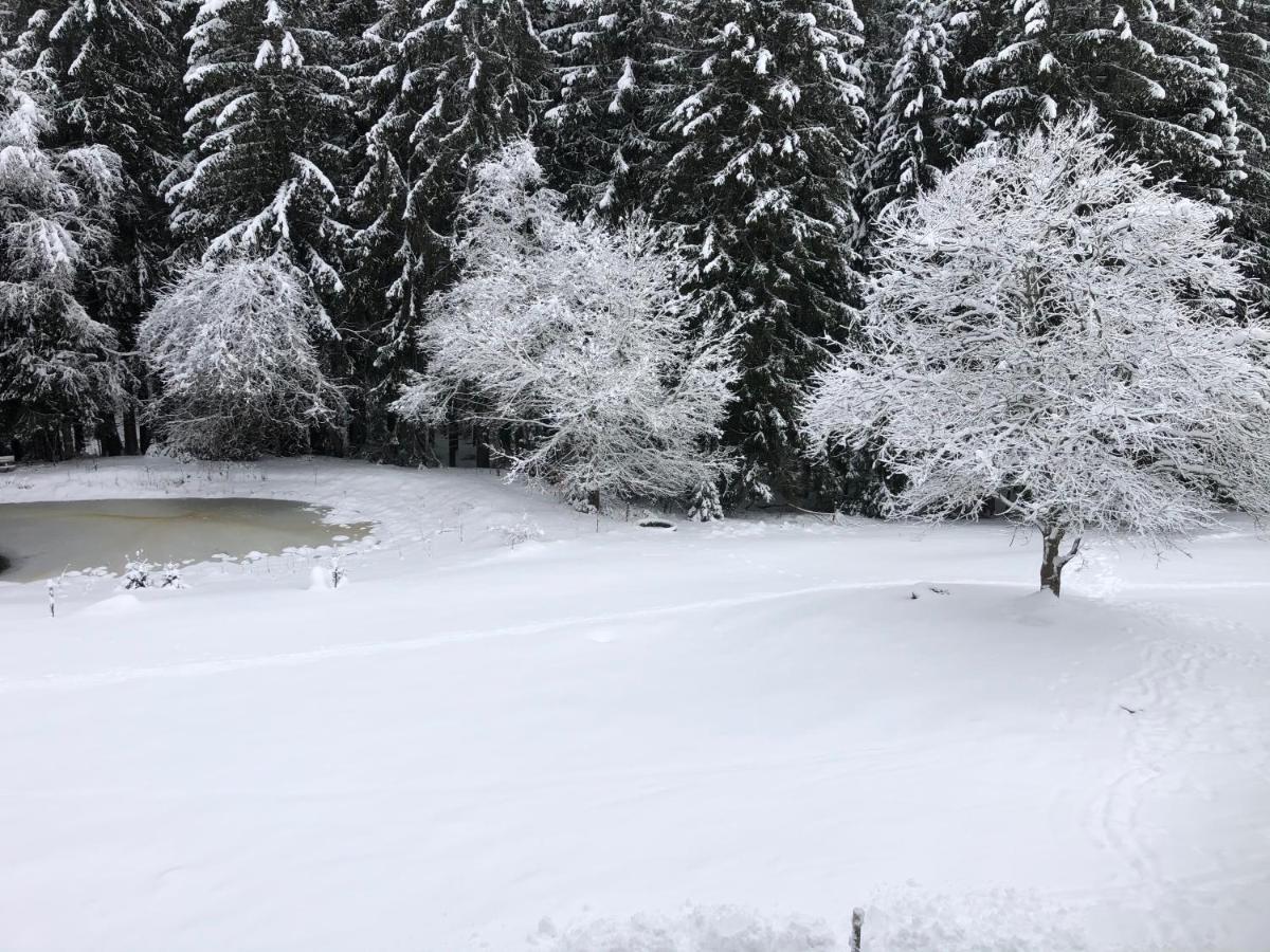 Apartamento Bergwaldhof Schonach Schonach im Schwarzwald Exterior foto