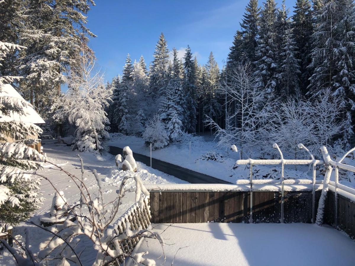 Apartamento Bergwaldhof Schonach Schonach im Schwarzwald Exterior foto