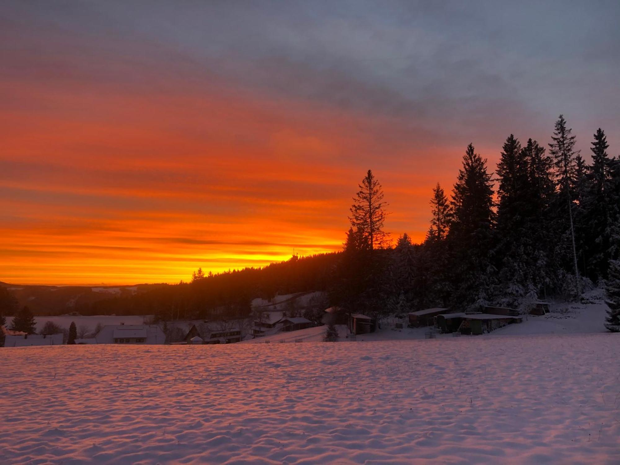 Apartamento Bergwaldhof Schonach Schonach im Schwarzwald Exterior foto
