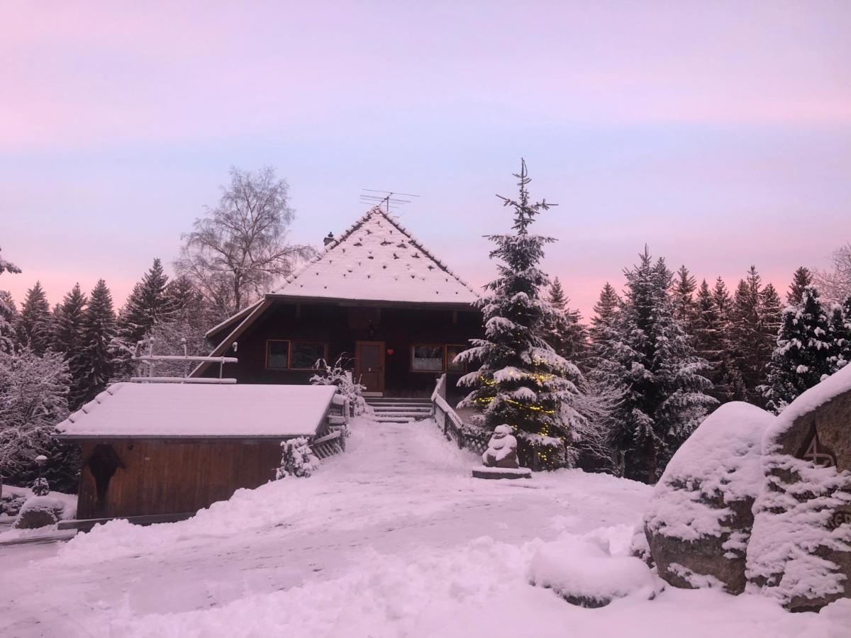 Apartamento Bergwaldhof Schonach Schonach im Schwarzwald Exterior foto