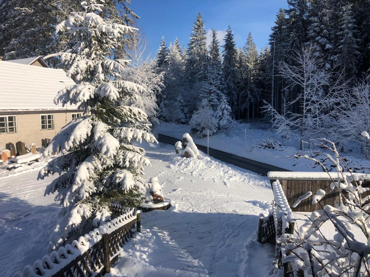 Apartamento Bergwaldhof Schonach Schonach im Schwarzwald Exterior foto